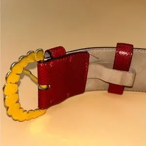 Vintage red skin belt by Bottegaveneta Bottega Veneta 2006 S/S Runway Poppy Red Velvet Silver  main image 4
